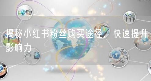 揭秘小红书粉丝购买途径，快速提升影响力