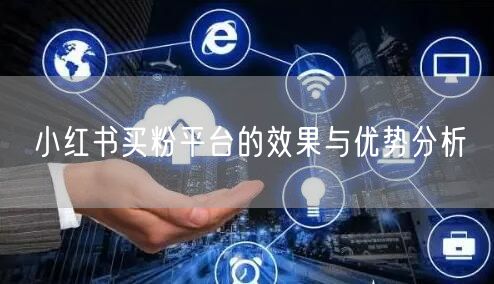 小红书买粉平台的效果与优势分析