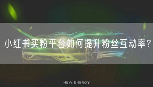 小红书买粉平台如何提升粉丝互动率？