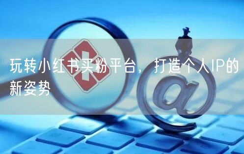 玩转小红书买粉平台，打造个人IP的新姿势