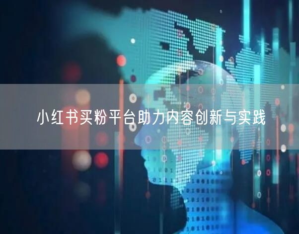 小红书买粉平台助力内容创新与实践