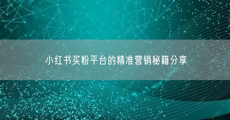 小红书买粉平台的精准营销秘籍分享