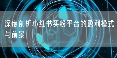 深度剖析小红书买粉平台的盈利模式与前景