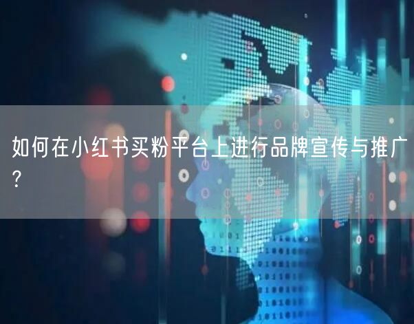 如何在小红书买粉平台上进行品牌宣传与推广？