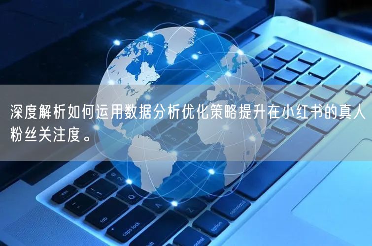 深度解析如何运用数据分析优化策略提升在小红书的真人粉丝关注度。
