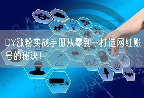 DY涨粉实战手册从零到一打造网红账号的秘诀！