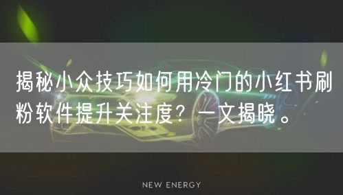 揭秘小众技巧如何用冷门的小红书刷粉软件提升关注度？一文揭晓。
