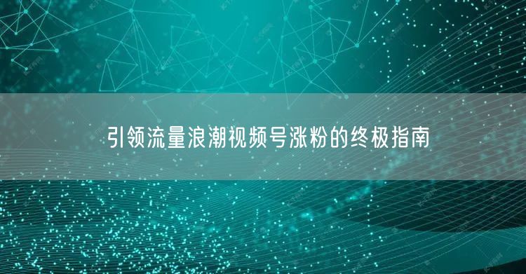 引领流量浪潮视频号涨粉的终极指南