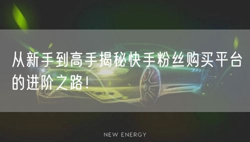 从新手到高手揭秘快手粉丝购买平台的进阶之路！