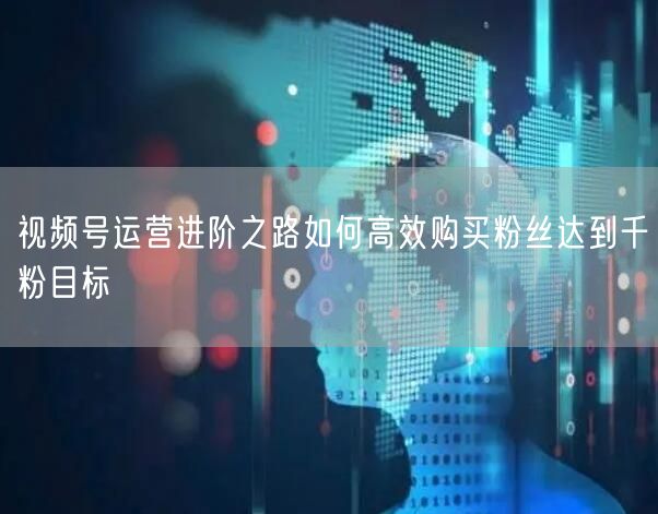 视频号运营进阶之路如何高效购买粉丝达到千粉目标