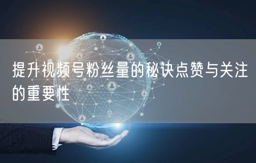 提升视频号粉丝量的秘诀点赞与关注的重要性