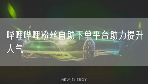 哔哩哔哩粉丝自助下单平台助力提升人气