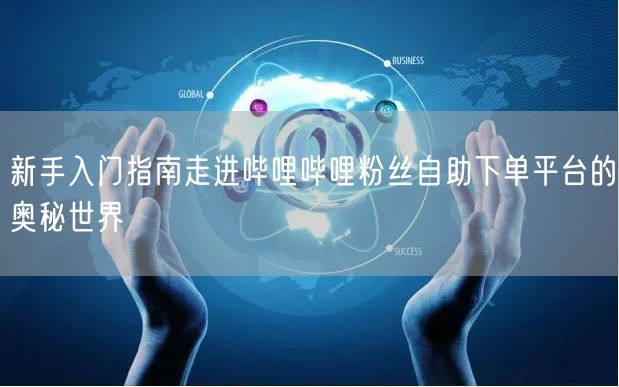 新手入门指南走进哔哩哔哩粉丝自助下单平台的奥秘世界