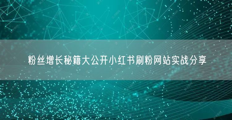 粉丝增长秘籍大公开小红书刷粉网站实战分享