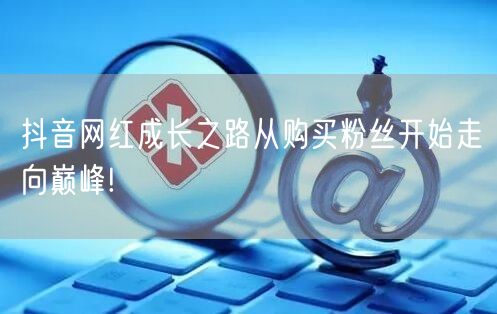 抖音网红成长之路从购买粉丝开始走向巅峰!