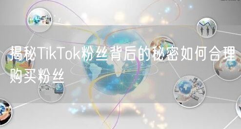 揭秘TikTok粉丝背后的秘密如何合理购买粉丝