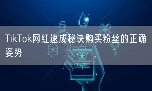 TikTok网红速成秘诀购买粉丝的正确姿势