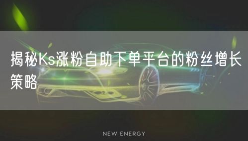揭秘Ks涨粉自助下单平台的粉丝增长策略
