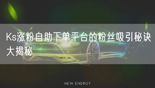 Ks涨粉自助下单平台的粉丝吸引秘诀大揭秘