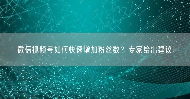 微信视频号如何快速增加粉丝数？专家给出建议！