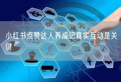 小红书点赞达人养成记真实互动是关键