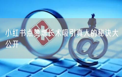 小红书点赞增长术吸引真人的秘诀大公开