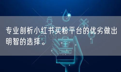 专业剖析小红书买粉平台的优劣做出明智的选择。