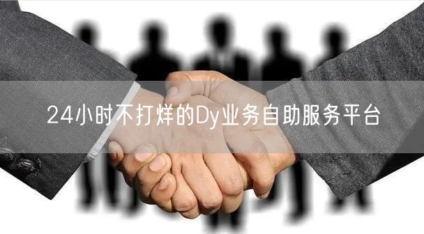 24小时不打烊的Dy业务自助服务平台
