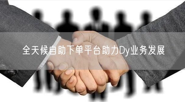 全天候自助下单平台助力Dy业务发展