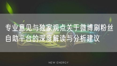 专业意见与独家观点关于微博刷粉丝自助平台的深度解读与分析建议