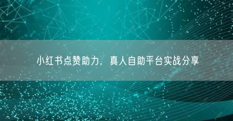 小红书点赞助力，真人自助平台实战分享