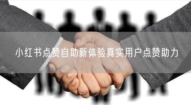 小红书点赞自助新体验真实用户点赞助力