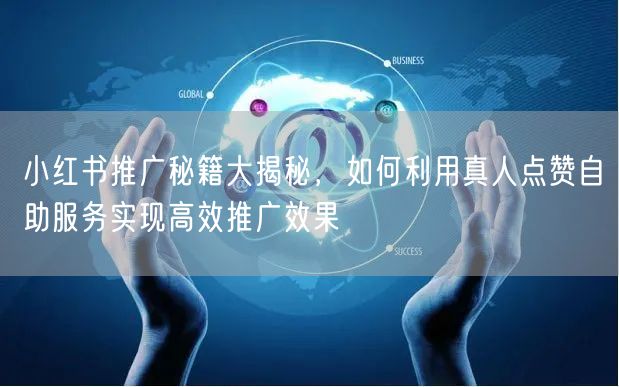 小红书推广秘籍大揭秘，如何利用真人点赞自助服务实现高效推广效果