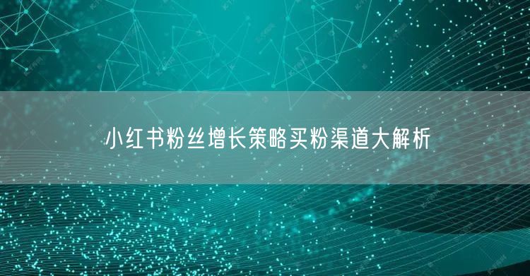 小红书粉丝增长策略买粉渠道大解析