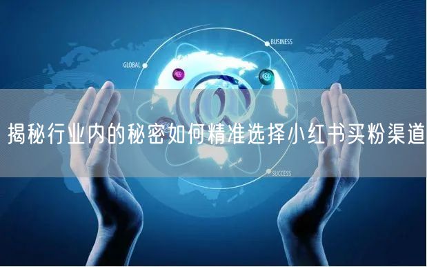 揭秘行业内的秘密如何精准选择小红书买粉渠道