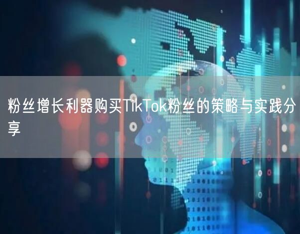 粉丝增长利器购买TikTok粉丝的策略与实践分享