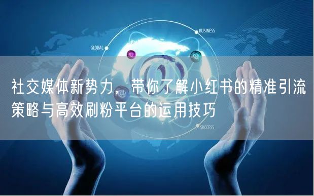 社交媒体新势力，带你了解小红书的精准引流策略与高效刷粉平台的运用技巧