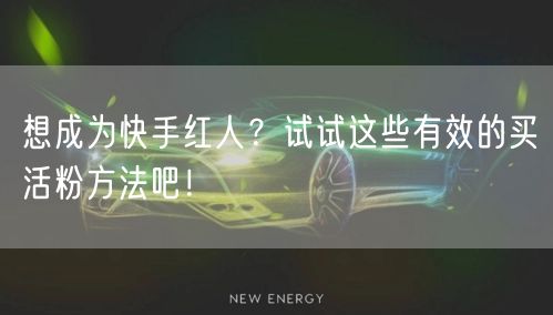 想成为快手红人？试试这些有效的买活粉方法吧！